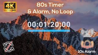 01:20s ⏱️🔔 80 Second TIMER with Tick Tock Sound Every Second and Alarm for 10s - No Loop