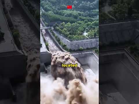 China Invested 66 4 Billion On A Dam Shorts China Viral Facts 