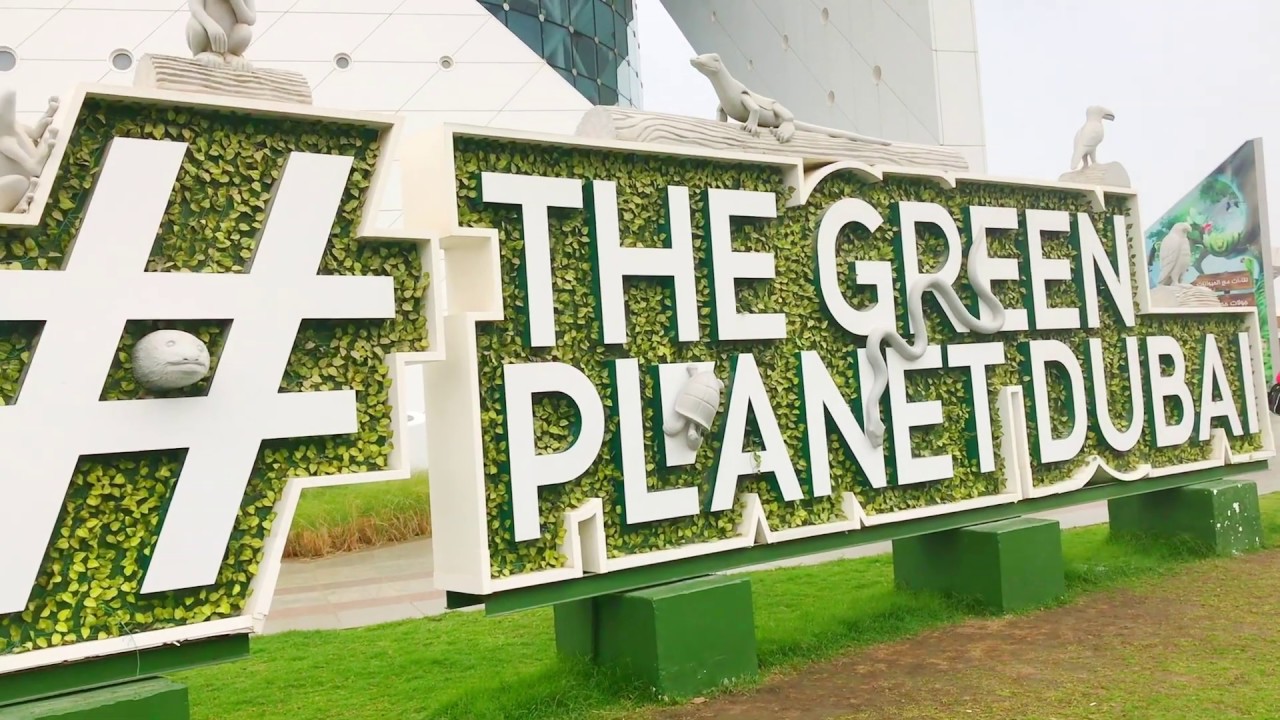 Green Dubai Indoor Rainforest In Dubai Dubai Tourist