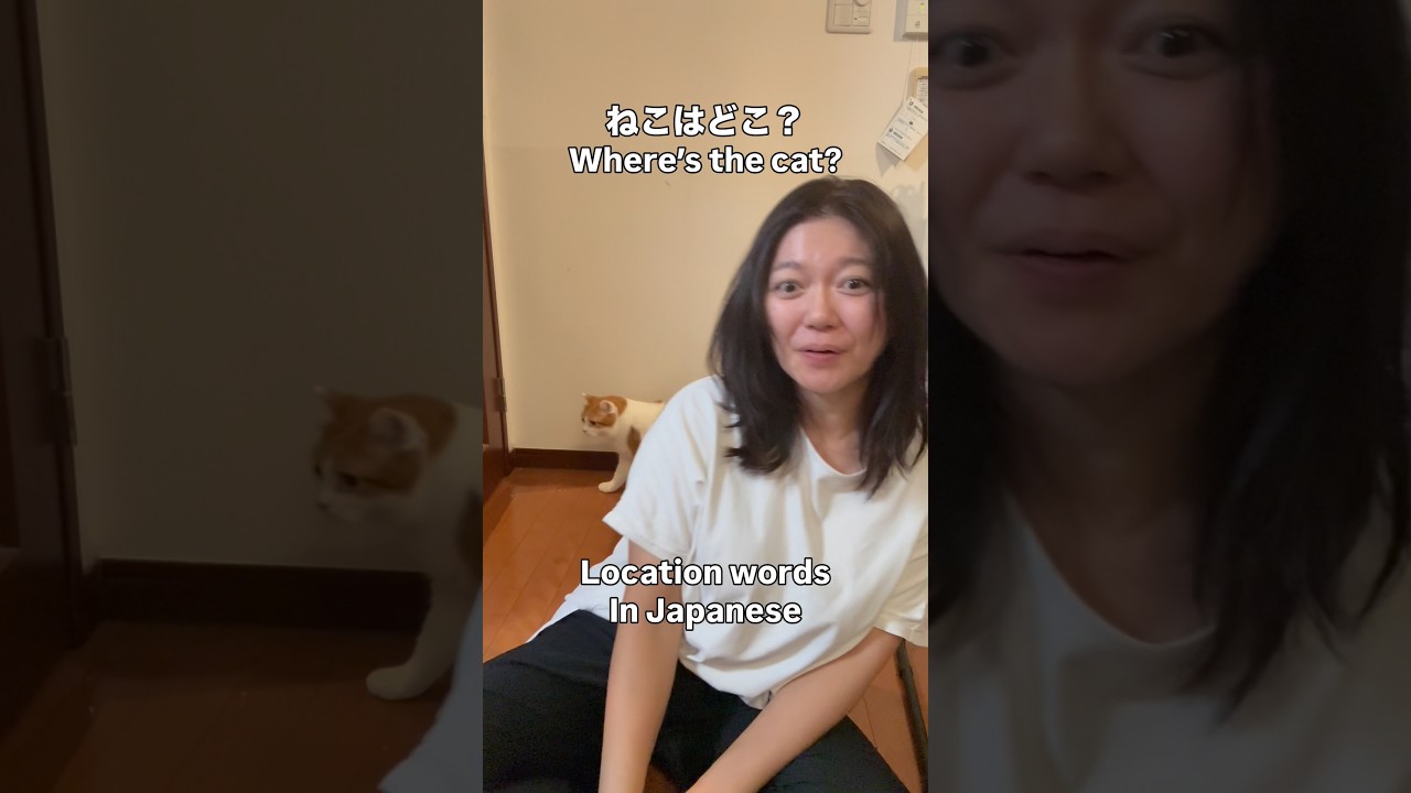 Location words in Japanese #japaneselesson #japaneselanguage