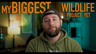 Filming the Coyote & Badger Duo: My Biggest Assignment Yet