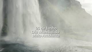 5 de Junho Dia Mundial do Meio Ambiente