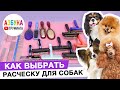 Расчески для собак, какую выбрать для ухода за шерстью