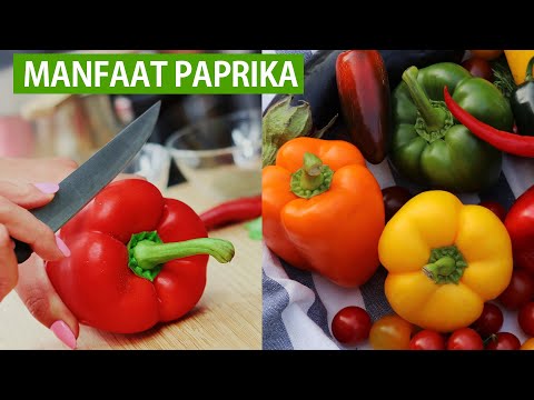 7 MANFAAT PAPRIKA UNTUK KESEHATAN | MENCEGAH DIABETES