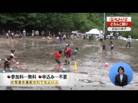 市政番組高崎もぎたて情報「吉井どろんこ祭り」（2015年5月）