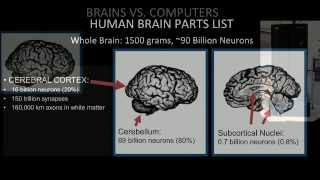 David VanEssen: What Makes Your Brain Tick? Insights from the Human Connectome Project.