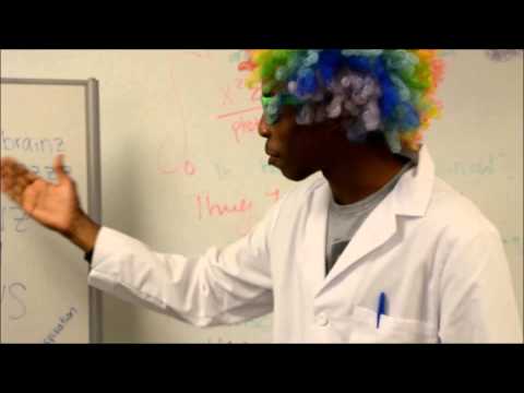 Brain Stem Rap