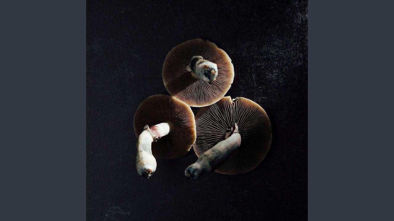 Watch EASYMODE on YouTube Watch EASYMODE on YouTube