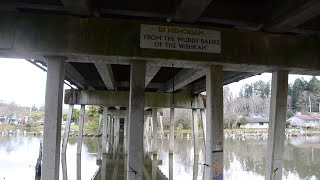 Celebrity Here's the Bridge Kurt Cobain Slept Under In Aberdeen, Washington Wealth