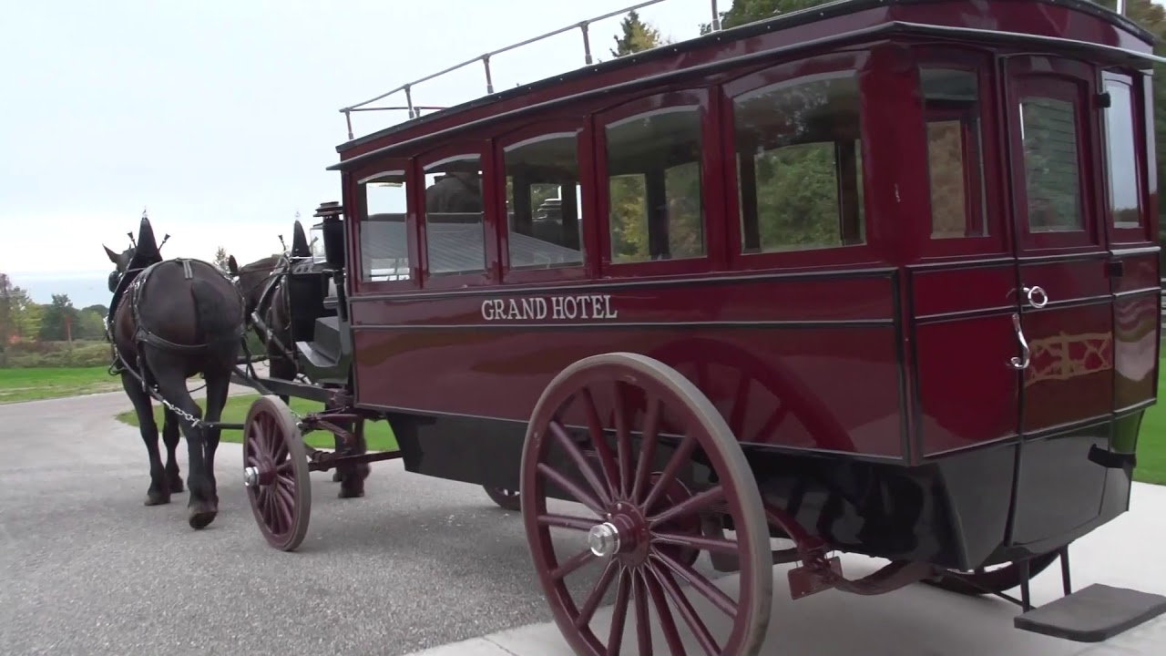 Как... управлять упряжкой лошадей