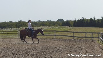 ATM Rey - bridleless working the flag! - ValleyViewRanch.net
