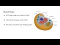 Meet the Microscopic Bosses: Cells, Bacteria, Viruses & Archaea
