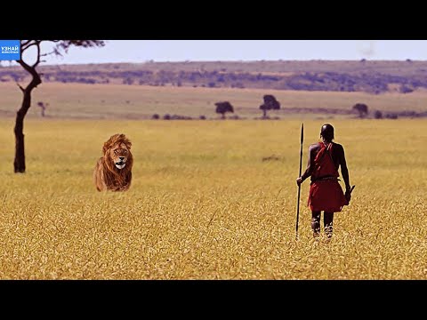 Video: Masai Mara Milli Qoruğu, Keniya: Tam Bələdçi