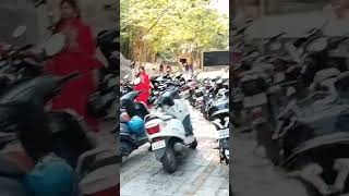 Red Blossom Tree View Street Road Side