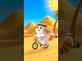 Cat Rides Bike in Desert Adventure 🏜️🚴😸 #Shorts
