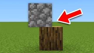 I Shapeshift to Cheat in Minecraft Hide and Seek!