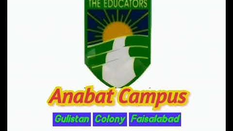 Class 1 Computer Chapter # 4 The Monitor & CPU Q # 2 Higher Order Thinking Skills