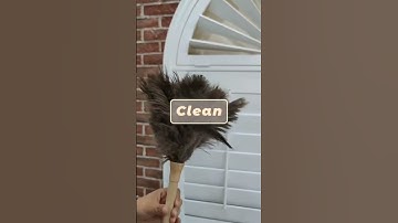 How do I clean window shutter？