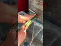 the process of testing the resistance of special super strong glue on jerry cans filled with water