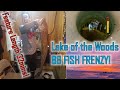 [ICT S1.E1] Lake of the Woods (#LotW 3rd Annual) 88 FISH FRENZY~ft Sturg and Eel Pouts! #itschoetime