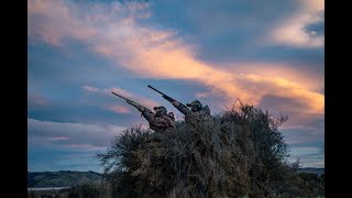Nelson Marlborough game bird hunters helping food banks and falcons. screenshot 4