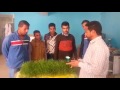 مدرسة الواحات البحرية الزراعية الباويطى مشروع تخرج مدرسة الواحات البحرية الزراعية الباويطى مشروع تخرج