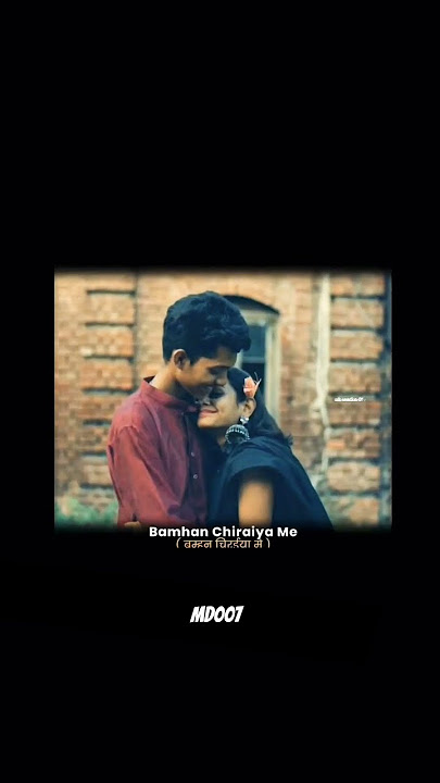 Bamhan chiraiya cg song !! mahadev hirwani cg song #cgsong #gamtng