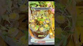 Diy Aquaponic System With A Bottle Grow Lettuce On A Budget