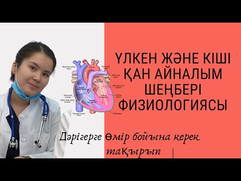 Бейне: Үлкен және кіші шеңберлер дегеніміз не?