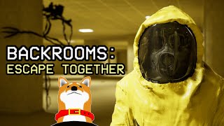 【Backrooms: Escape Together】#2  盲目のエンティティ【Vtuber】