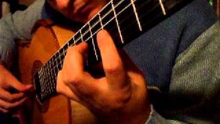 SCHINDLER'S LIST solo guitar by Flavio Sala chords