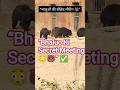 Bears Emergency Meeting😱भालू अचानक मीटिंग में क्यों बैठे?Wait For End😂 #Shorts #Bear #viral #animal