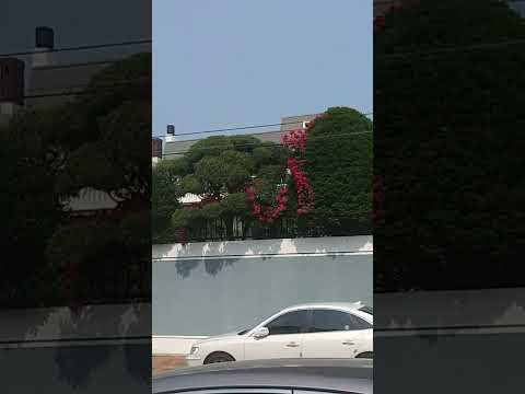 궁말 어린이공원