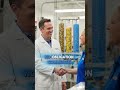 Still paying for cleaning but not seeing results?