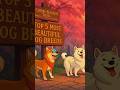 Five Most Beautiful Dog Breeds on Earth | Disney-Style Animated Short 🐶✨