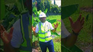 Platinum Residence By Odibola Properties