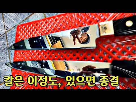 가성비 좋은 칼 추천 - 남해안 물고기 다 칼질 가능!