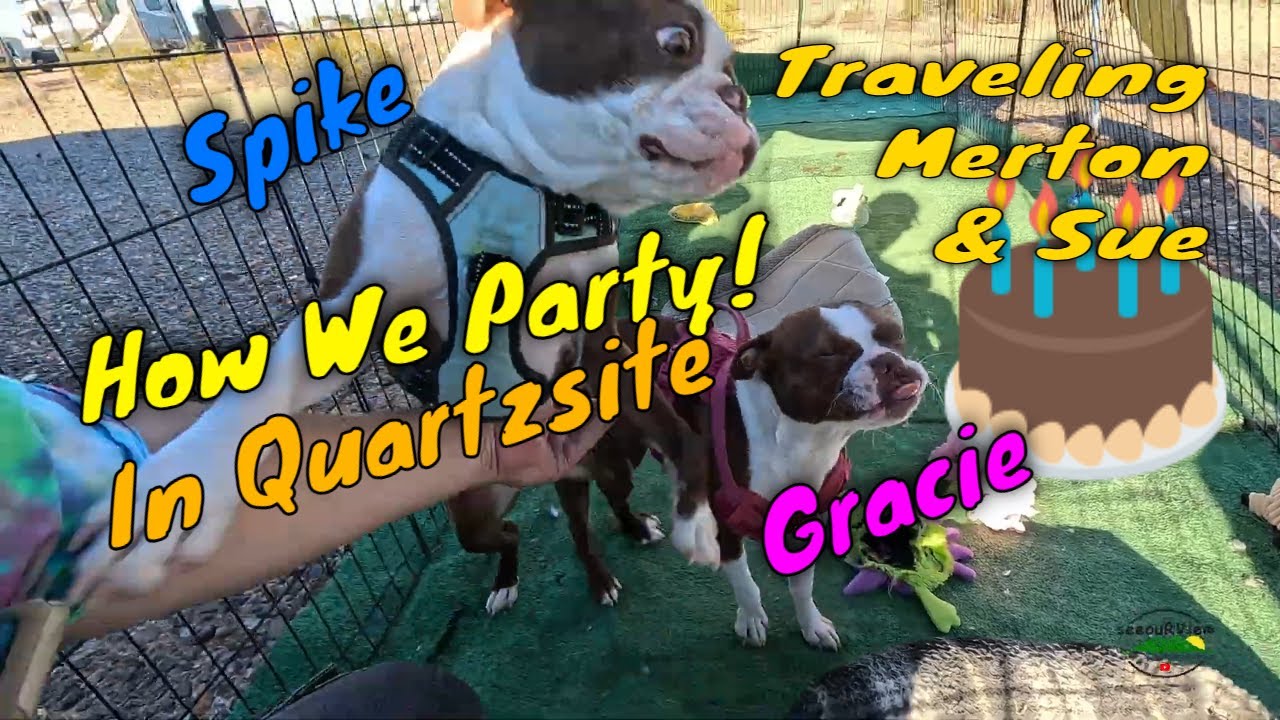 Как мы развлекаемся в Quartzsite — Хорошие времена!