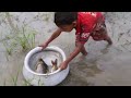 Amazing Hand Fishing Video Crazy Boy Catching Fish By Hand in Pond Water