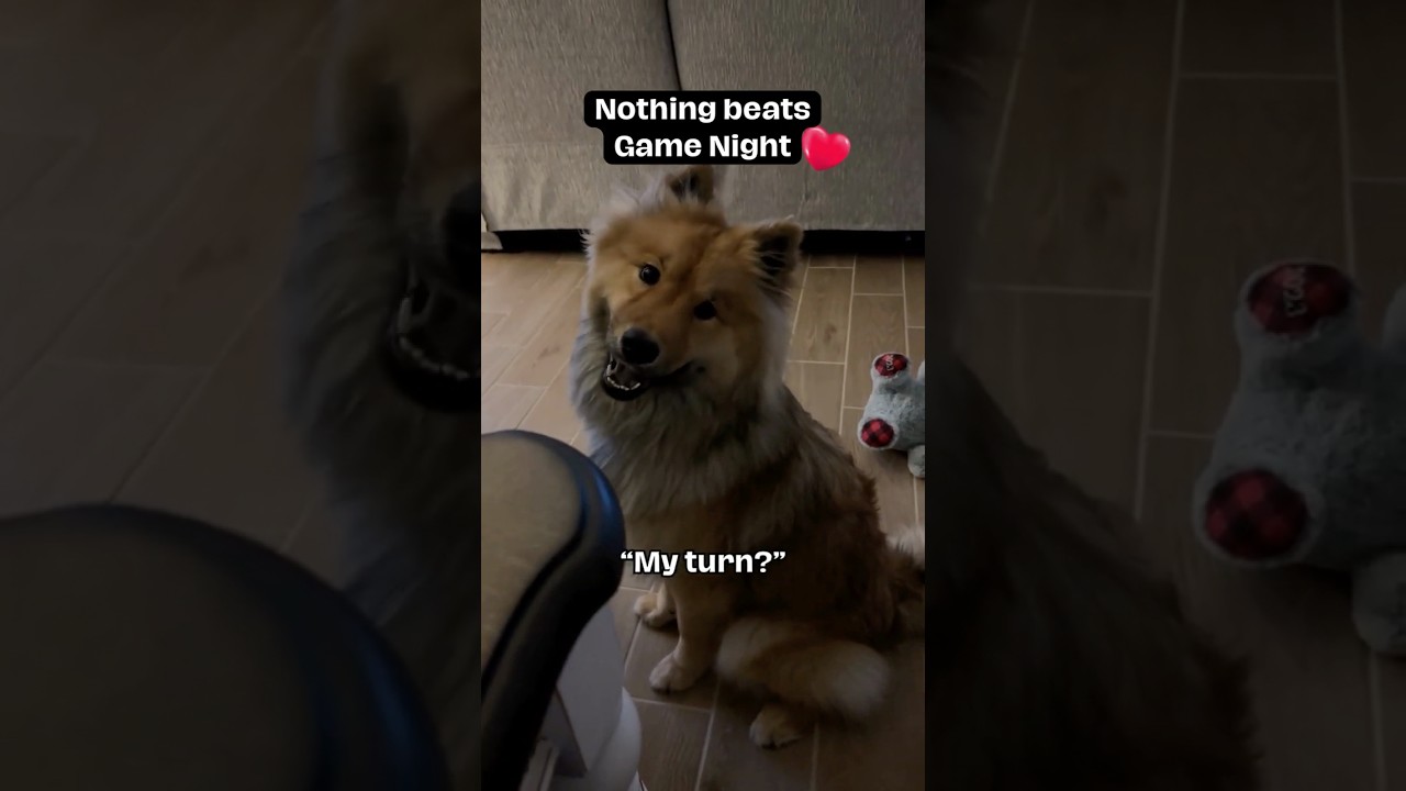 Nothing beats Game Night 