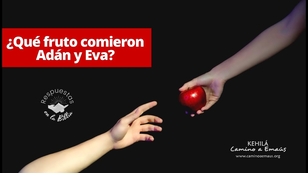 16. ¿Qué fruto comieron Adán y Eva? Respuestas en la Biblia YouTube 16. ¿Qué fruto comieron Adán y Eva? Respuestas en la Biblia YouTube