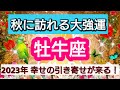 牡牛座【緊急!秋に訪れる大強運】2023年の秋、あなたに起こる幸せの引き寄せは?