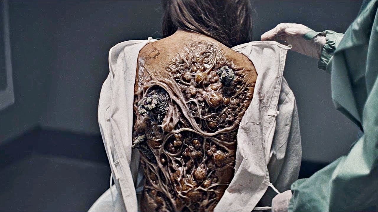 La humanidad descubrió un hongo aterrador de hace millones de años a treinta mil pies bajo tierra.