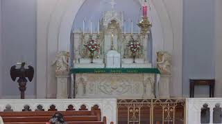 Thursday 8 AM Thursday Daily Traditional Catholic Mass 06/25/2026