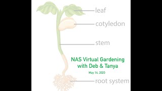 Nay Ah Shing Virtual Gardening with Deb & Tanya, May 14, 2020