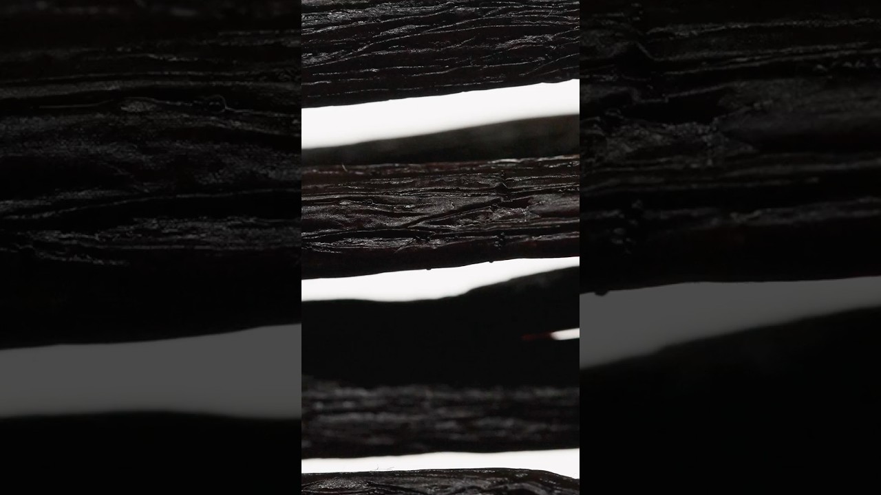 CAVIANI HEART OF THE BEAN 