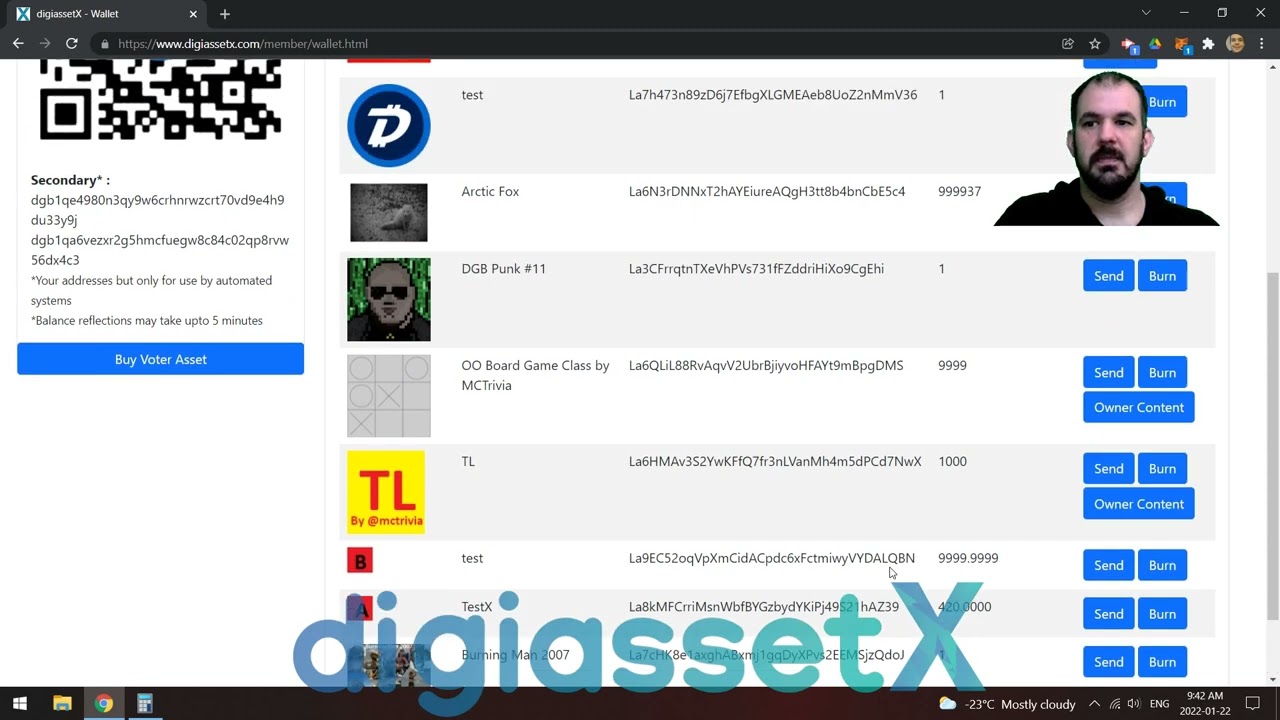 Creating And Auctioning a DigiAsset with digiassetX