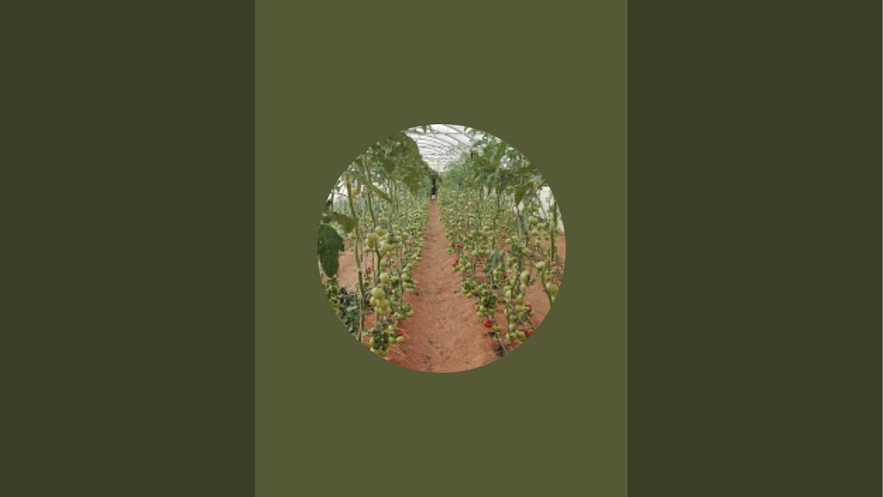 Polyhouse Farming is live