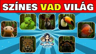 Ismerkedjünk Meg Játékosan Földünk Színes Állataival Óvideó