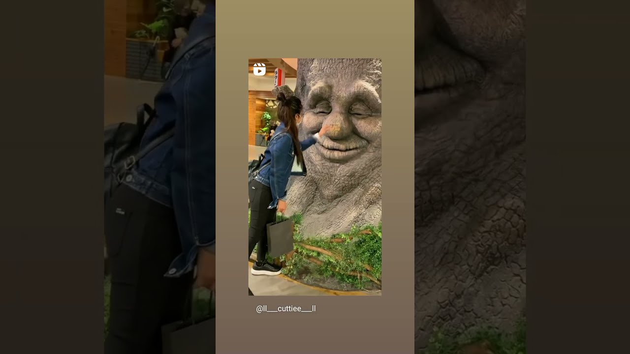 Funny Moment 😂😂Beautiful Girl Touching Tree Open Eyes Tree